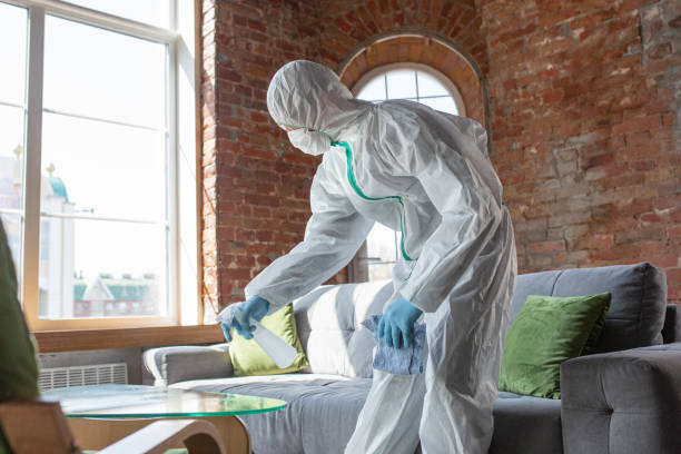 Best Attic Mold Removal  in Ripon, WI