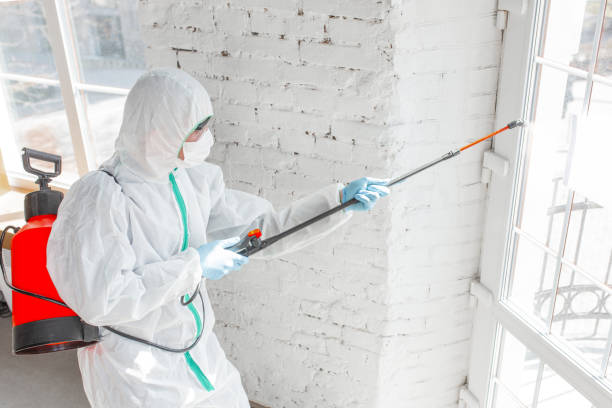 Best Mold Removal for HVAC Installations  in Ripon, WI